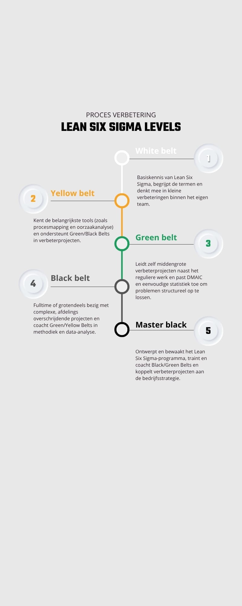 levels-Lean-Six-Sigma